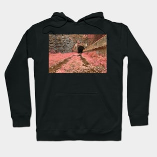 Paw Paw Tunnel - Pink Netherworld Hoodie